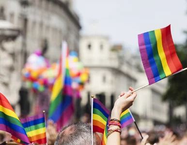 Miniatura: Kraśnik „strefą wolną” od LGBT, 5G i...