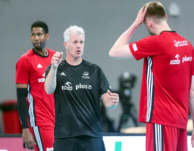 Miniatura: Polski siatkarz bierze ślub. Heynen dał...