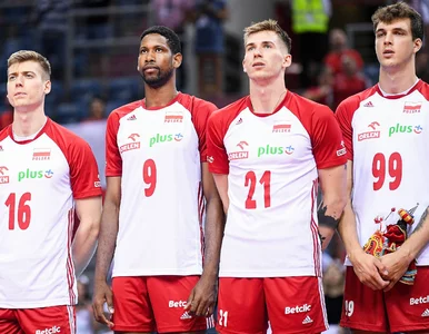 Miniatura: Siatkarz zdecydował o swojej przyszłości....