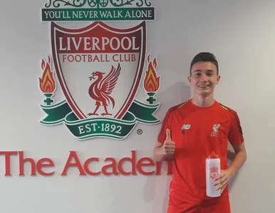 Miniatura: Musiałowski znów zachwyca w Liverpoolu....