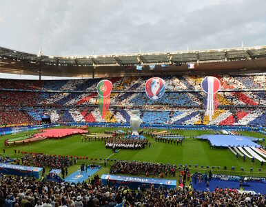 Ćmy zaatakowały Stade de France! Zawinili organizatorzy?