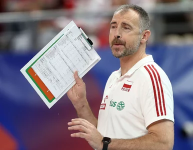 Miniatura: To rozwścieczyło Nikolę Grbicia. Trener...