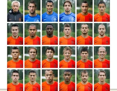 Miniatura: Kadra reprezentacji Holandii na Euro