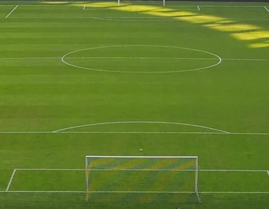 Miniatura: Wrocław sieje trawę za 1 mln złotych