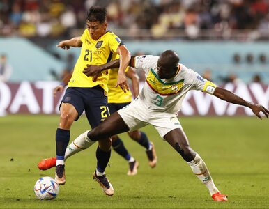 Ekwador zagrał z Senegalem o awans. Wielkie emocje w meczu grupy A