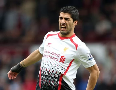 Miniatura: Premier League: Dramat Liverpoolu!...