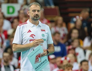 Miniatura: Kogo powinien skreślić Nikola Grbić?...