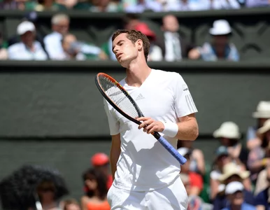 Miniatura: Wimbledon: Murray nie obroni tytułu....