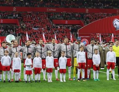 Miniatura: Chaos na meczu Polska – Albania. Straż...