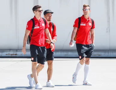 Miniatura: Polacy będą jeździć na mecze EURO 2024...