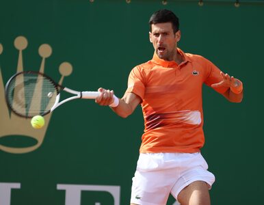 Miniatura: Novak Djoković skrytykował decyzję...