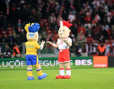 Miniatura: Mecze na Euro 2012 tylko w TVP. Spółka...