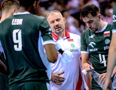 Miniatura: Nikola Grbić popełnił kluczowy błąd....