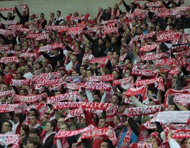 Miniatura: Anglicy boją się na Wembley polskich......