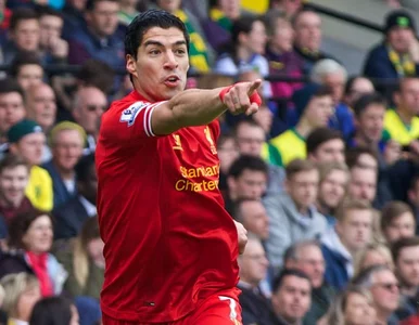 Miniatura: Real chce Suareza. Wyłoży na stół... 85...