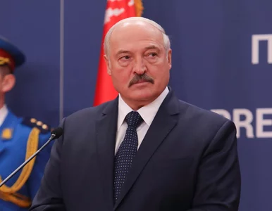 Miniatura: Aleksander Łukaszenka nie gryzł się w...