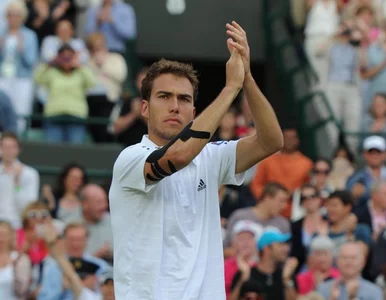 Miniatura: Wimbledon: Janowicz odpadł w półfinale....