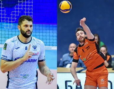 Miniatura: Klub PlusLigi zbroi się przed spadkiem....