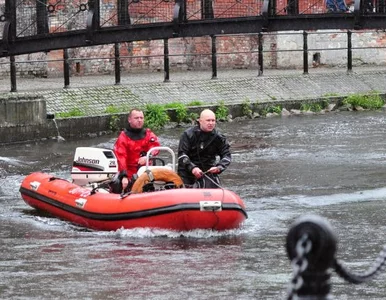 Miniatura: To już pewne - Irlandczyk utopił się w Brdzie