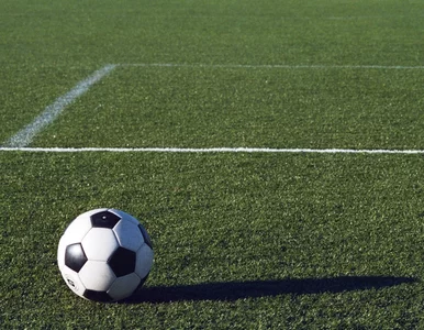 Miniatura: Oficjalnie: Lechia zmieniła właściciela