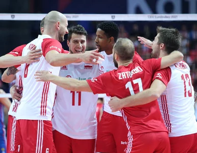 Miniatura: Ogłoszono miasta-gospodarzy siatkarskiej...