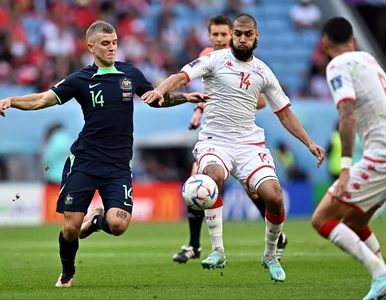 Miniatura: Australia szybko podniosła się po porażce...