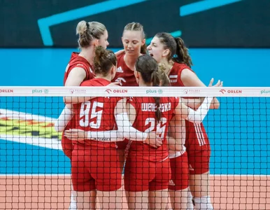 Miniatura: Gratka dla kibiców polskich siatkarek....