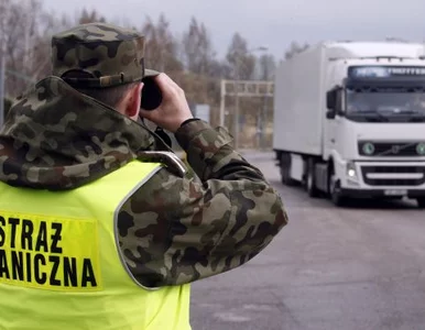 Miniatura: Ponad pół miliona kibiców przyjedzie do...