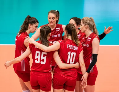 Miniatura: Terminarz reprezentacji Polski w Lidze...