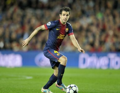 Miniatura: Fabregas chce zostać na Camp Nou