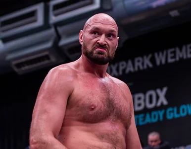 Miniatura: Tyson Fury nie ma litości dla angielskiego...