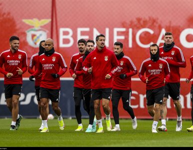Benfica melduje się w Lidze Mistrzów! Pewna wygrana z Dynamem Kijów