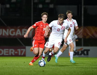 Miniatura: Finał mistrzostw Europy nie dla Polaków....