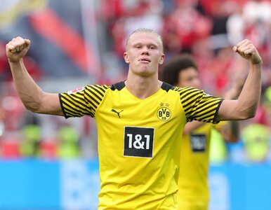 Borussia chce zatrzymać Haalanda. Szykuje się rekordowa umowa