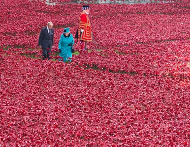 Miniatura: Premier Zjednoczonego Królestwa o decyzji...