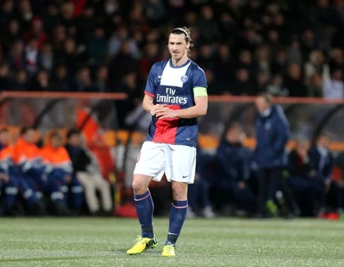 Miniatura: Ibrahimović: Na emeryturze będę oglądał...