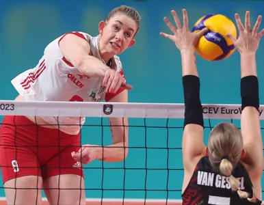 Miniatura: Stefano Lavarini został zapytany o postawę...