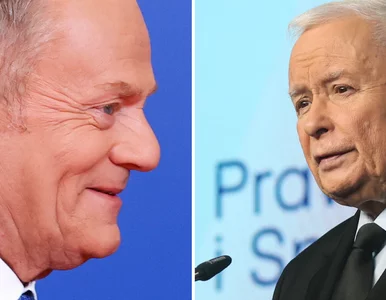 Miniatura: PiS daleko w tyle za KO. Najnowszy sondaż...