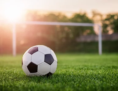 Miniatura: Kibice z Krakowa zamknięci w klatce....