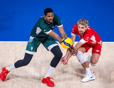 Miniatura: Twarde lądowanie Polaków na MŚ. Hit w...