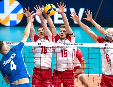 Miniatura: Eksperci wytypowali zwycięzców mistrzostw...