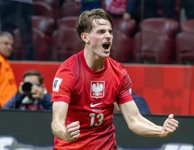 Miniatura: Kibice na PGE Narodowym oszaleli! Tak padł...