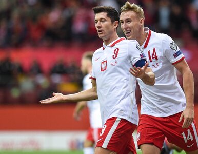 Miniatura: Polacy wygrali z Albanią. Cenny gol...