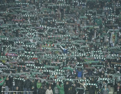 Miniatura: Wiemy kto kupi Lechię. To Niemcy i Szwajcarzy