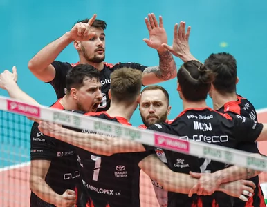 Miniatura: Ekspert wskazał przyczyny kryzysu polskiej...