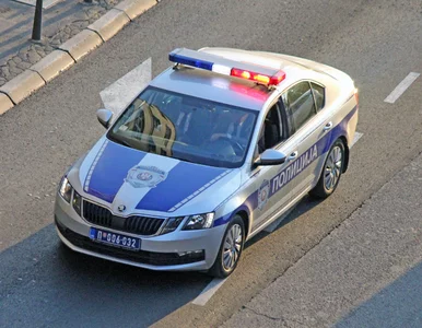 Miniatura: Media: Nożownicy zaatakowali polskich...