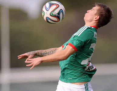 Miniatura: Lechia ciągle chce się wzmacniać....