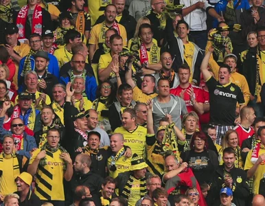 Miniatura: Kibice dzwonili na infolinię BVB. A tam......
