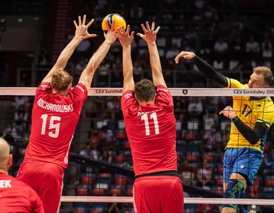 Miniatura: Siatkarz uciekł z klubu. Federacja...