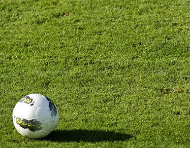 Miniatura: Napastnik OM nie zagra na Euro